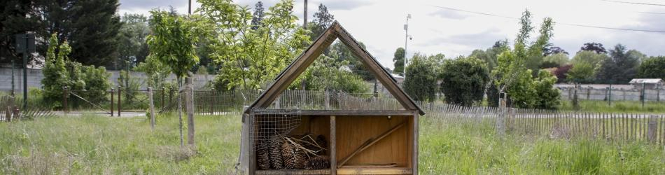 La cabane à insectes Maurice Millet 