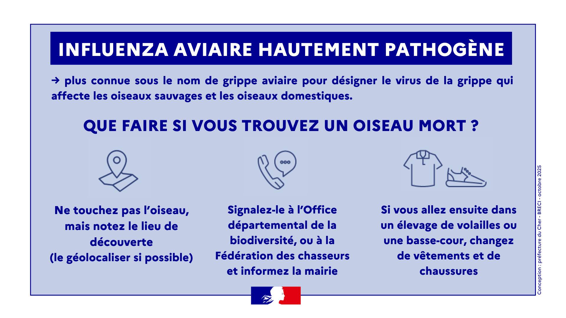 572095238 1238834524946758 5808789519204832022 n